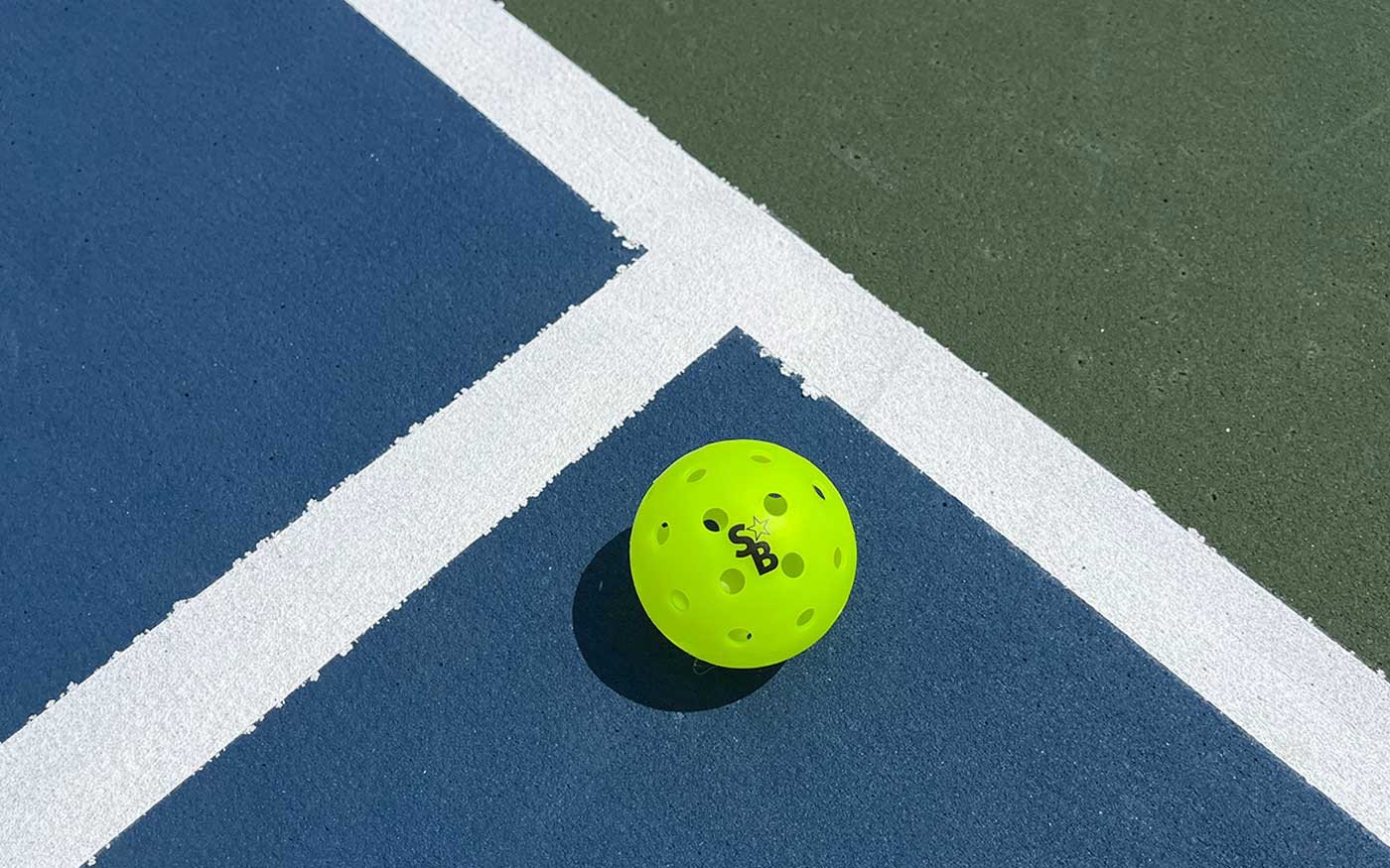 pickleballbackyardcourt